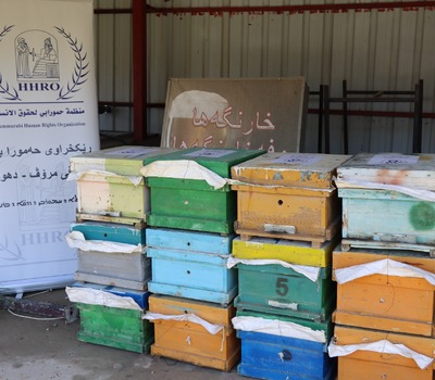 بمناسبة الذكرى الحادية والعشرين لتأسيسها.. منظمة حمورابي توزّع خلايا نحل دعماً لسبل العيش المستدامة في دهوك